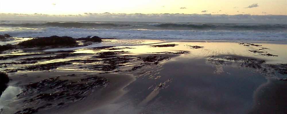 Salmonberry Inn & Beach House Lincoln City Buitenkant foto